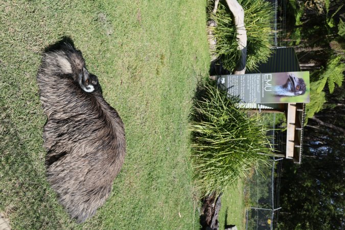Symbio Wildlife Park