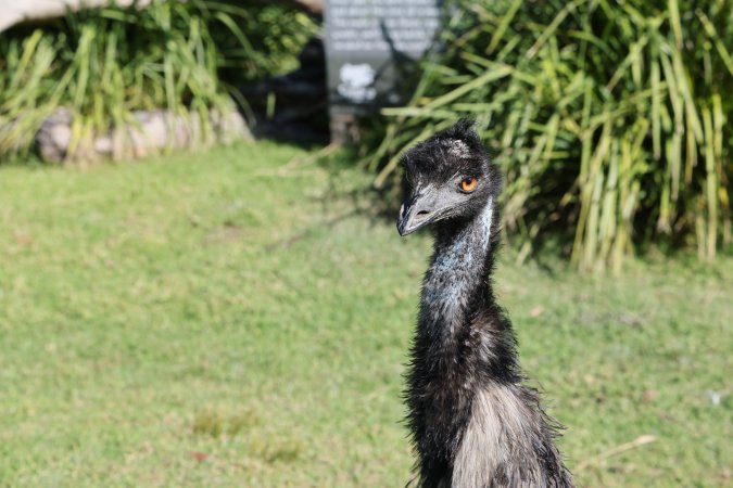 Symbio Wildlife Park