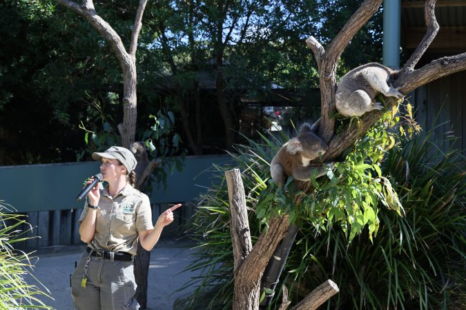 Symbio Wildlife Park