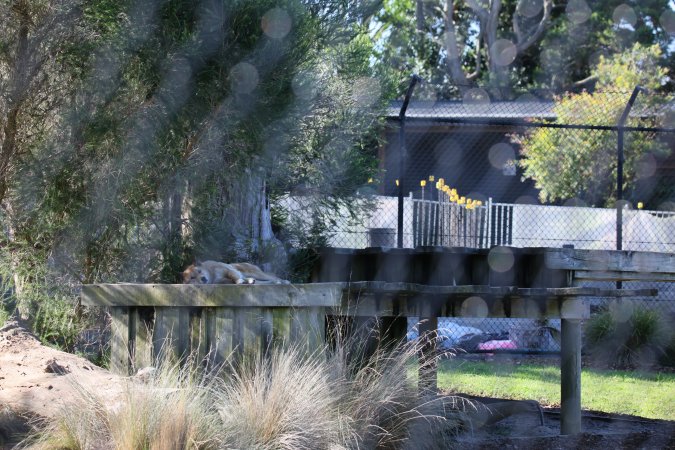 Symbio Wildlife Park