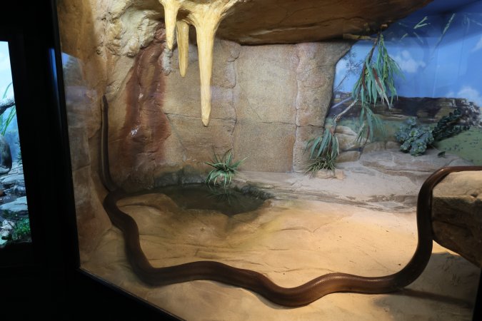 Symbio Wildlife Park