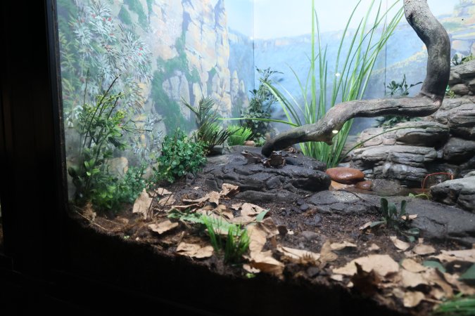 Symbio Wildlife Park