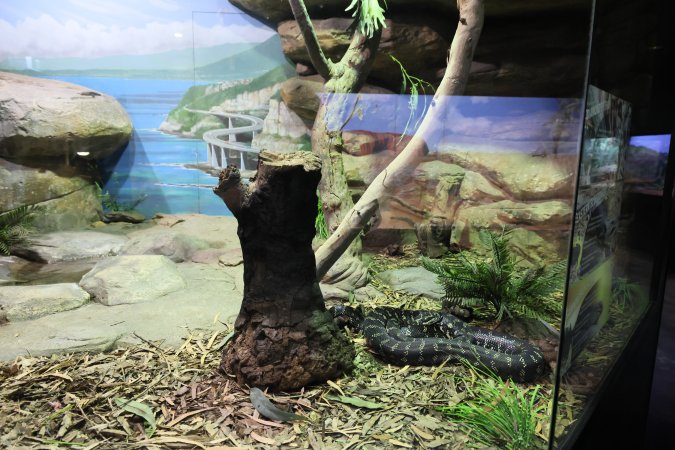 Symbio Wildlife Park
