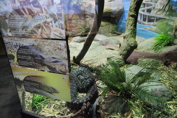 Symbio Wildlife Park