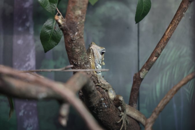 Symbio Wildlife Park