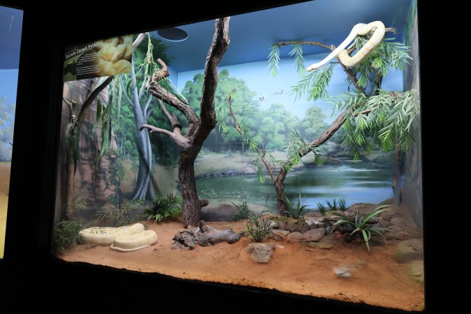 Symbio Wildlife Park