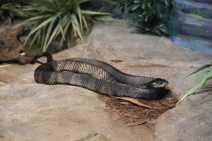 Symbio Wildlife Park