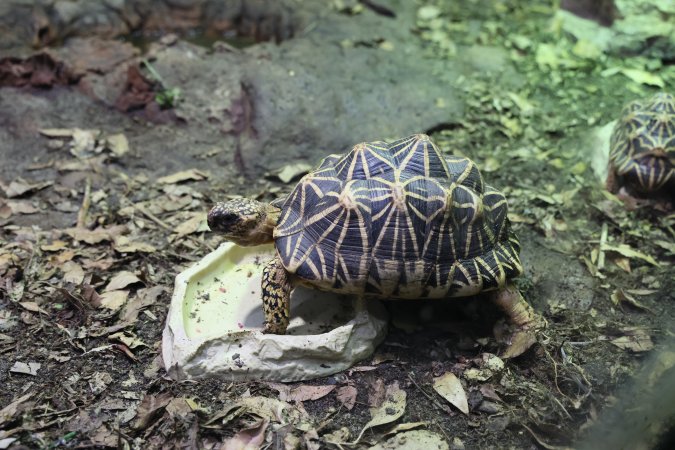 Symbio Wildlife Park