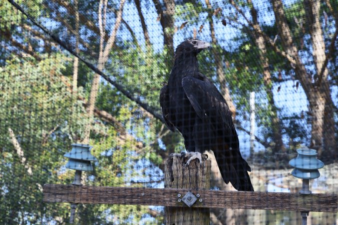 Symbio Wildlife Park