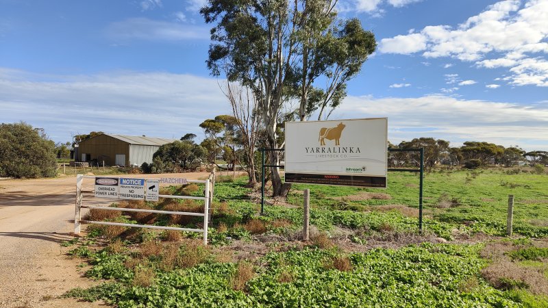 Yarralinka Livestock