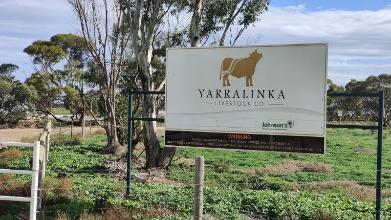 Yarralinka Livestock