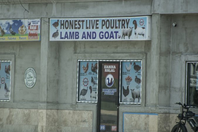 Honest Live Poultry
