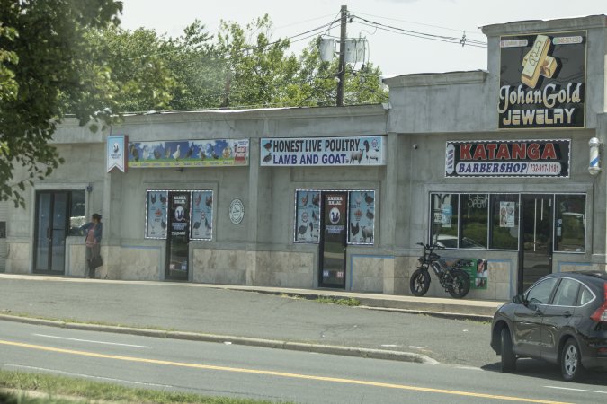 Honest Live Poultry