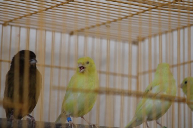 Midway Feed and Pet
