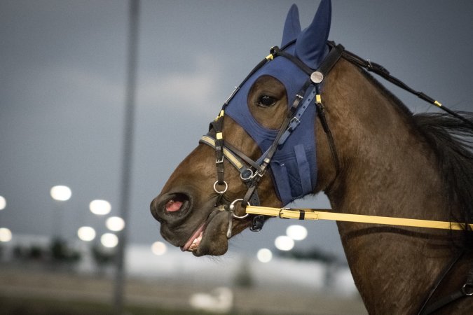Meadowlands Racetrack June 2026