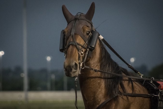 Meadowlands Racetrack June 2026