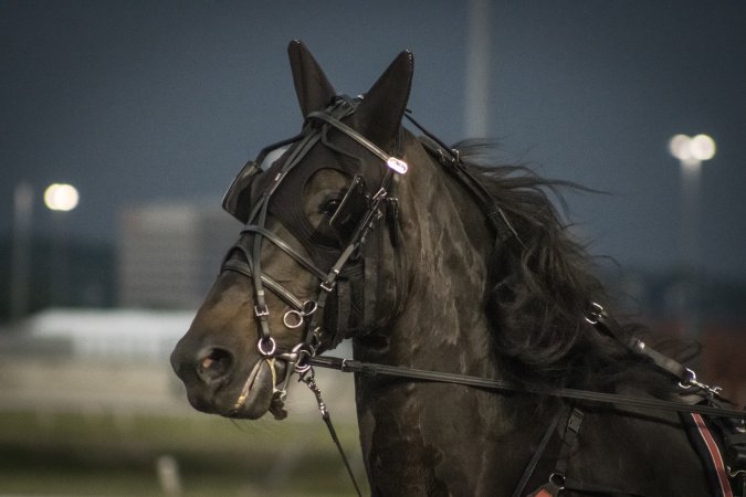 Meadowlands Racetrack June 2026