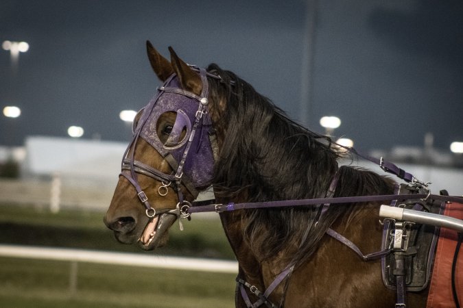 Meadowlands Racetrack June 2026