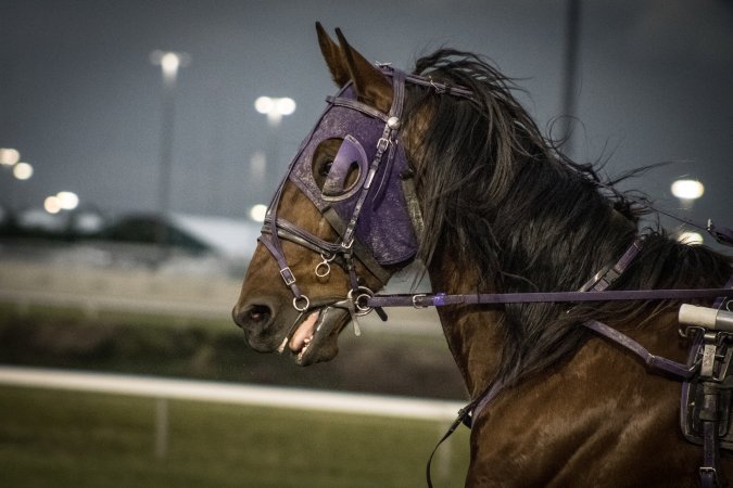Meadowlands Racetrack June 2026