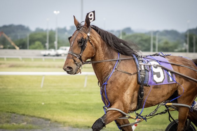 Meadowlands Racetrack June 2026