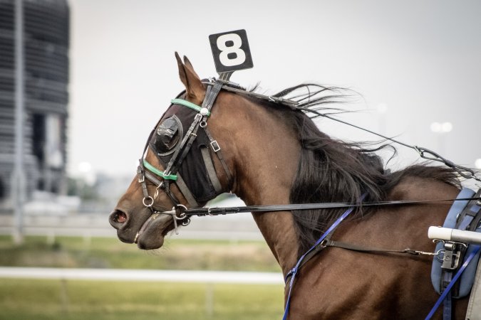 Meadowlands Racetrack June 2026