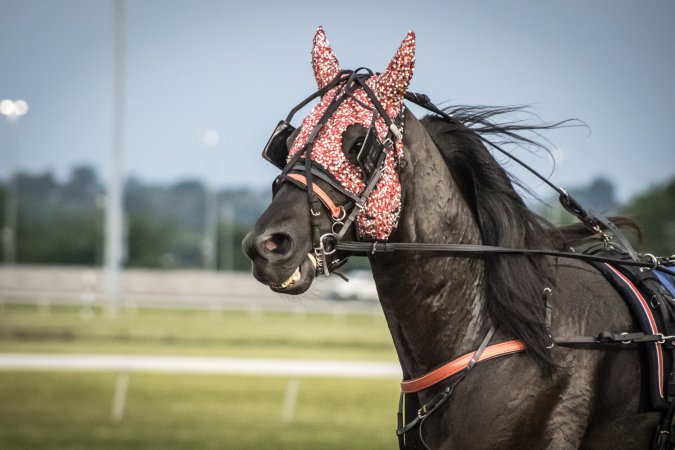 Meadowlands Racetrack June 2026