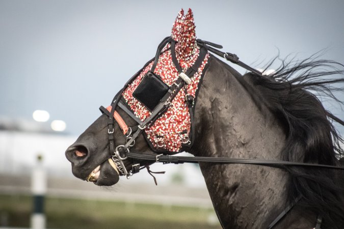 Meadowlands Racetrack June 2026