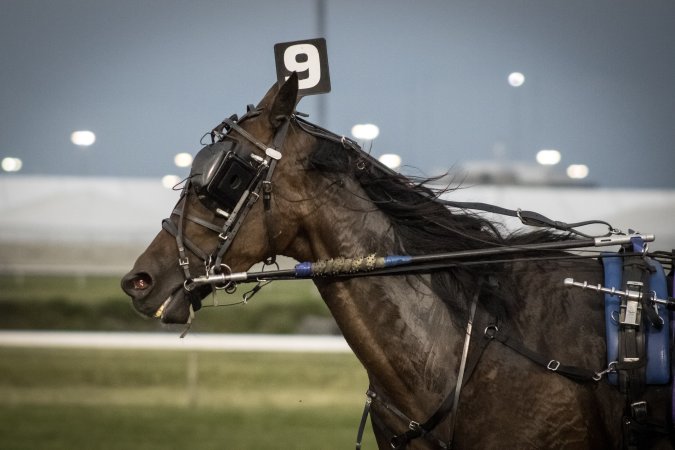 Meadowlands Racetrack June 2026