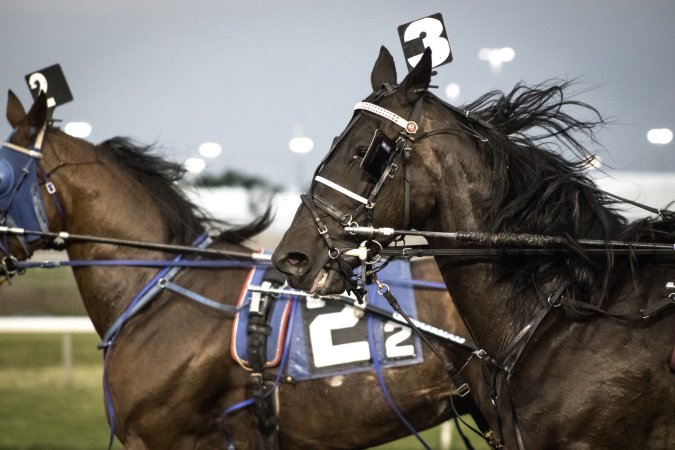 Meadowlands Racetrack June 2026