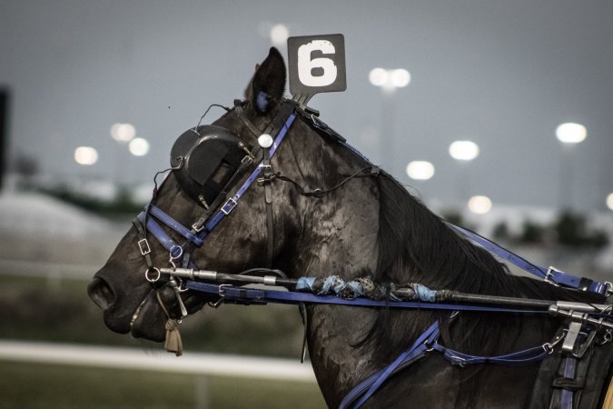 Meadowlands Racetrack June 2026