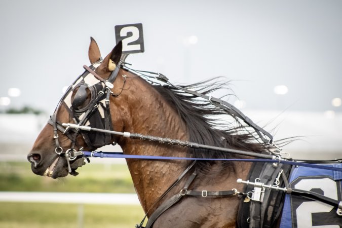 Meadowlands Racetrack June 2026