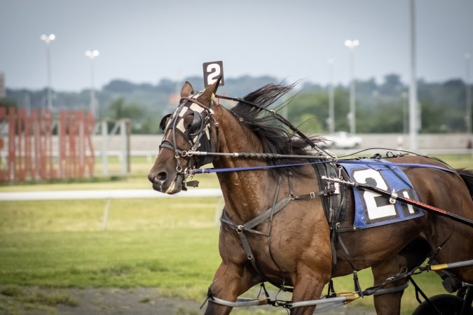 Meadowlands Racetrack June 2026
