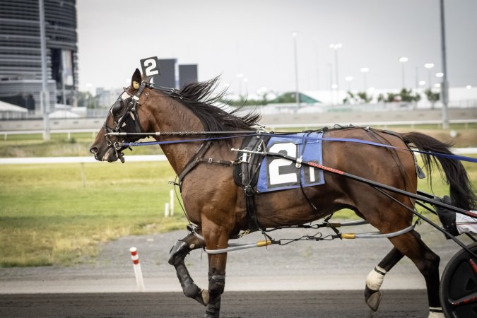 Meadowlands Racetrack June 2026