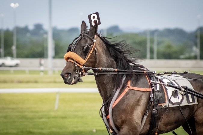 Meadowlands Racetrack June 2026