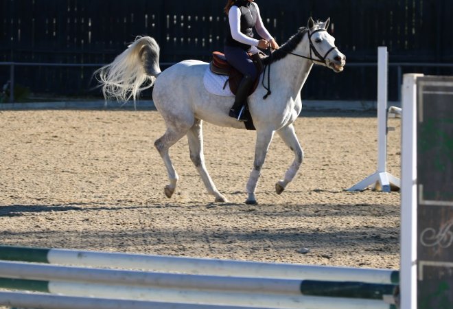 Hansen Dam Horse Park
