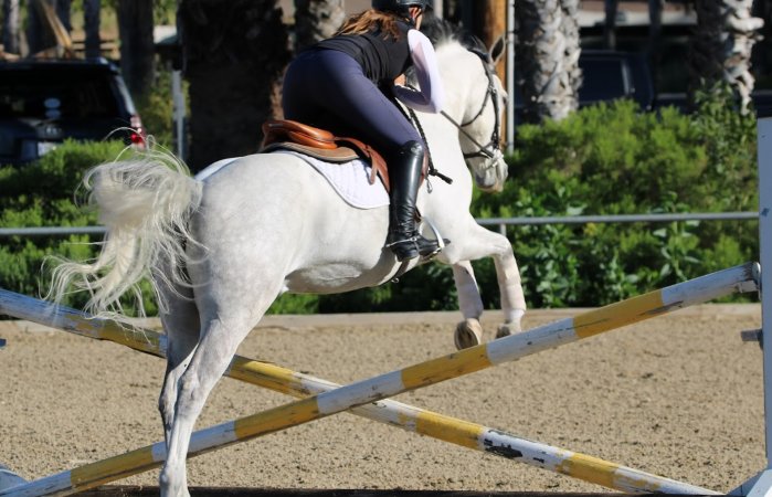 Hansen Dam Horse Park