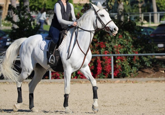 Hansen Dam Horse Park