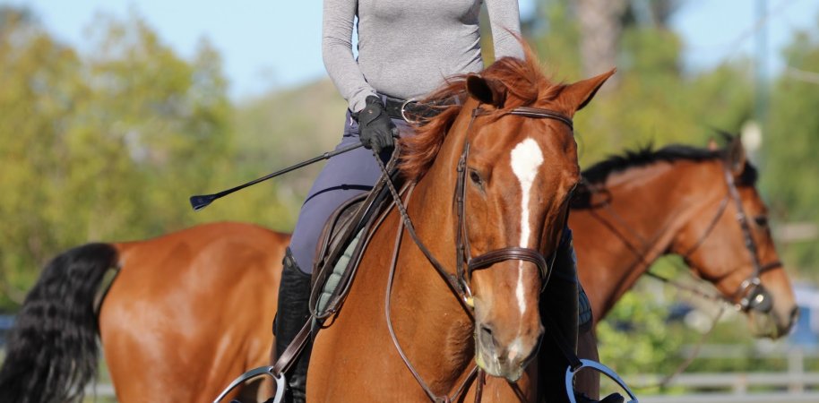 Hansen Dam Horse Park