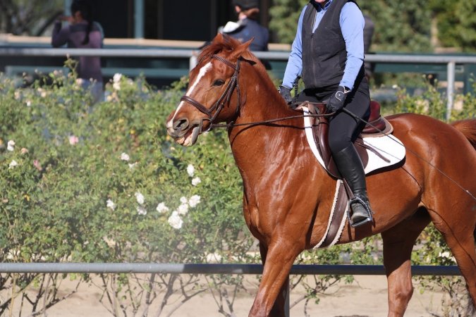 Hansen Dam Horse Park