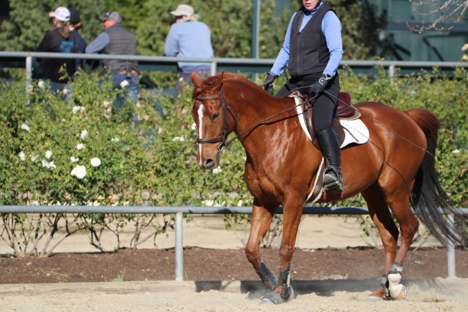 Hansen Dam Horse Park