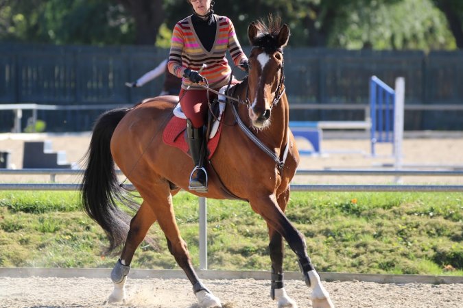 Hansen Dam Horse Park