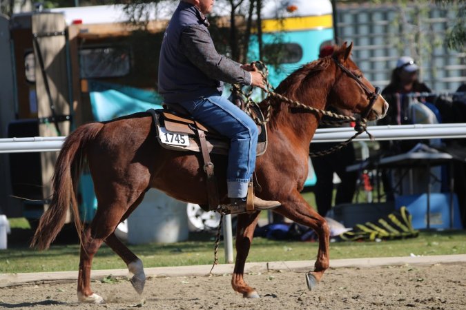 Hansen Dam Horse Park