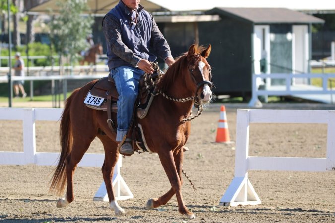 Hansen Dam Horse Park