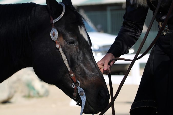 Hansen Dam Horse Park