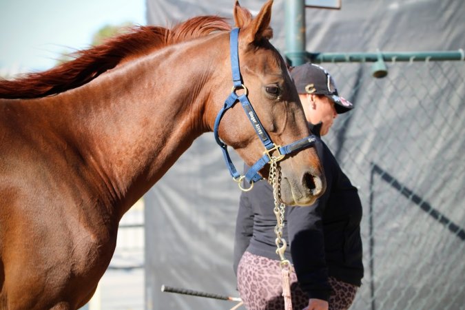 Hansen Dam Horse Park