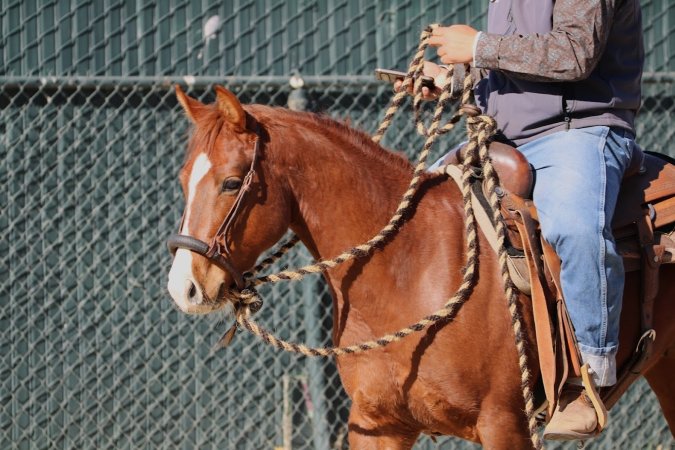 Hansen Dam Horse Park
