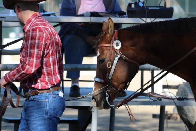Hansen Dam Horse Park
