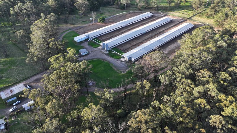 Unknown Free Range Eggs - Wilberforce - Drone Footage