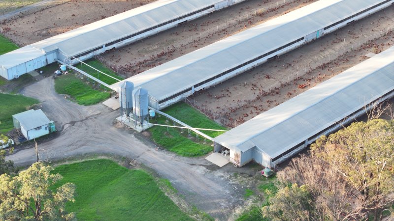 Unknown Free Range Eggs - Wilberforce - Drone Footage