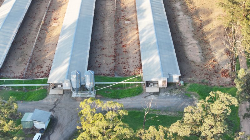 Unknown Free Range Eggs - Wilberforce - Drone Footage